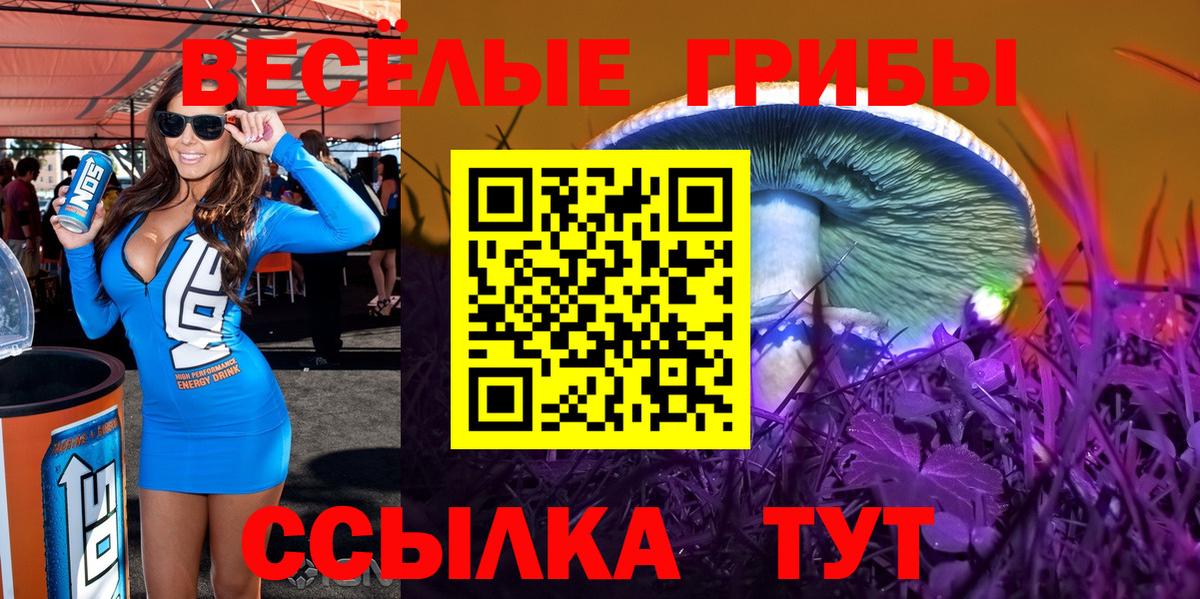 Галлюциногенные грибы MAGIC MUSHROOMS Клинцы
