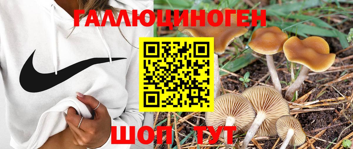 Клинцы  Псилоцибиновые грибы прущие грибы  Псилоцибиновые грибы Magic Shrooms  Вход с VPN 