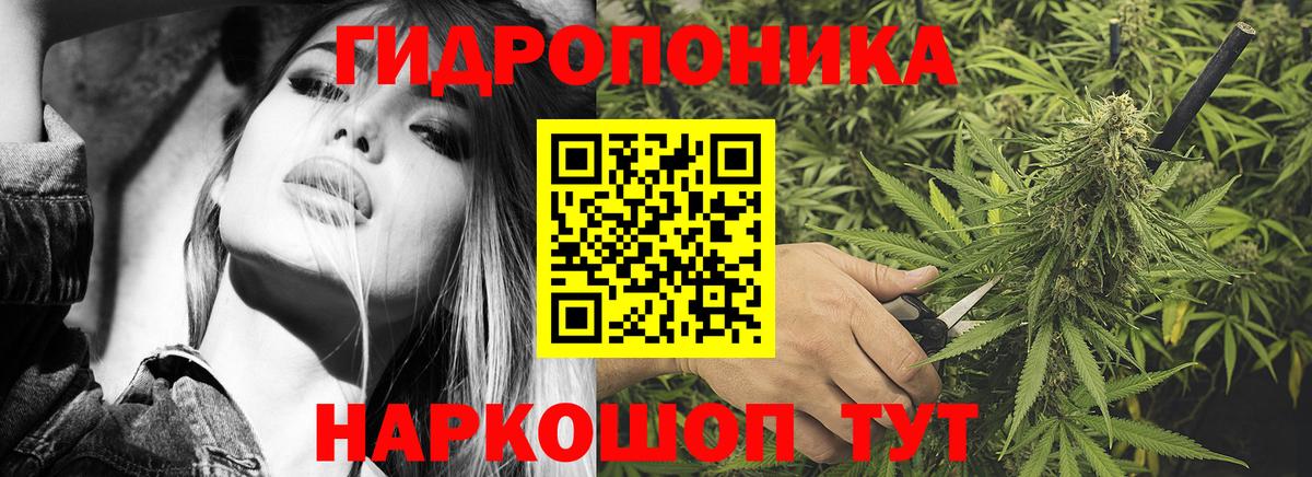 Конопля гибрид Клинцы